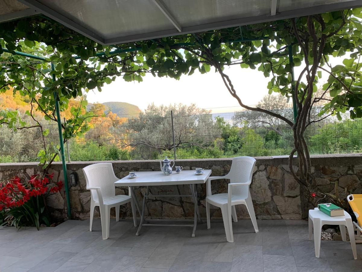 Apartments Mirian Petrovac Exterior foto