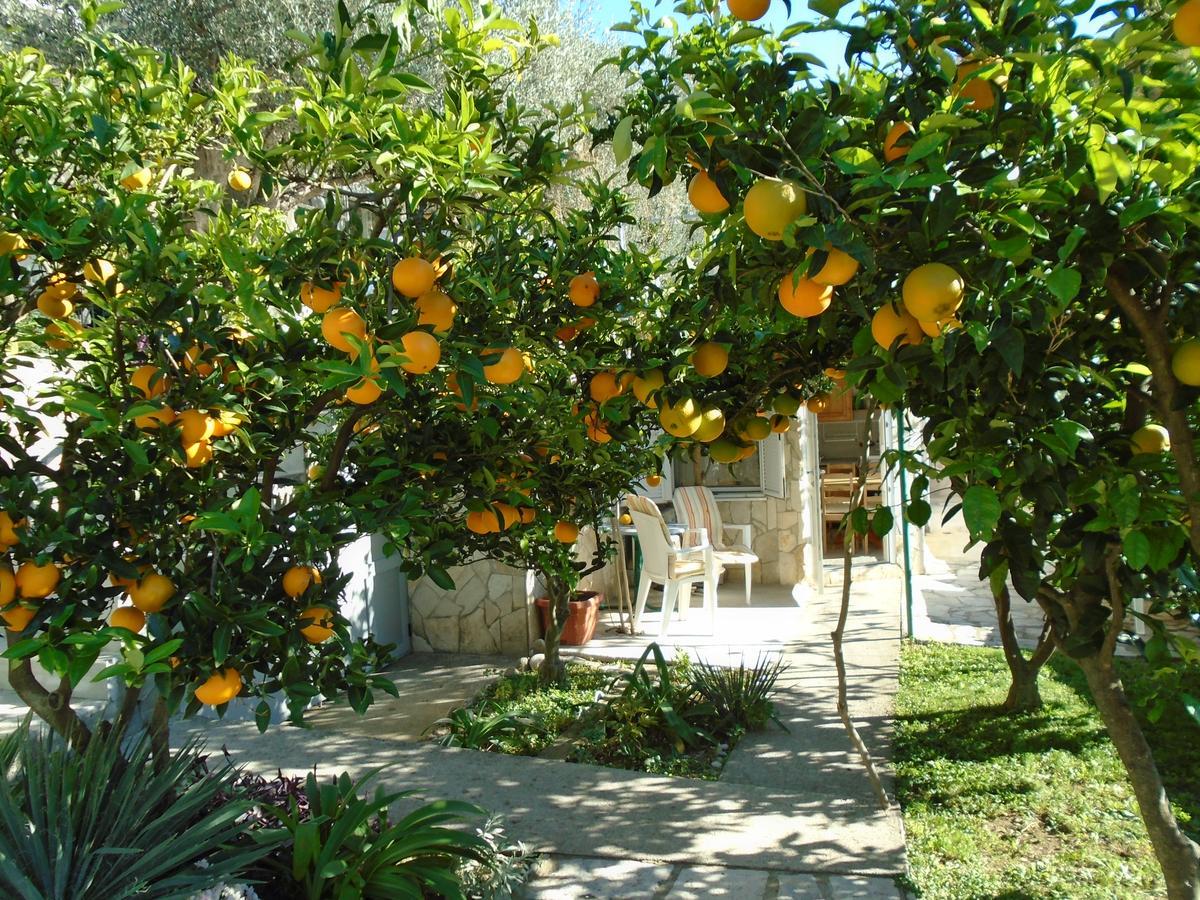 Apartments Mirian Petrovac Exterior foto